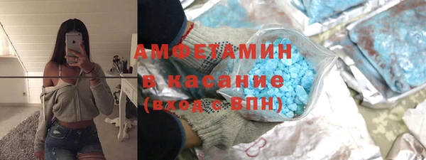 прущие грибы Балахна