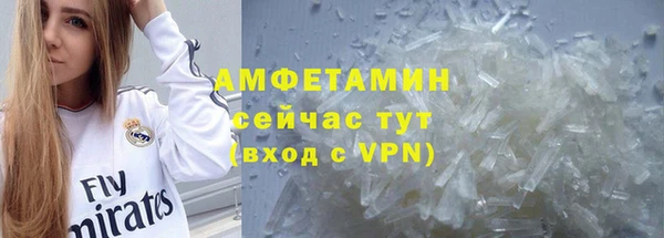 прущие грибы Балахна