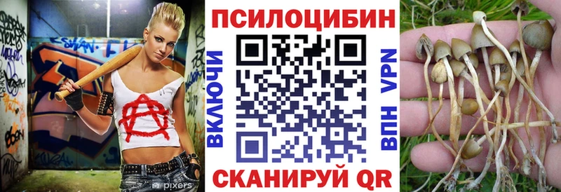 Псилоцибиновые грибы Cubensis  сколько стоит  Ивантеевка 